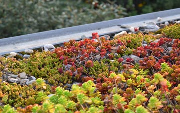 the cost of Chilbolton Down green roof installation